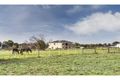 Property photo of 97 Trainers Way Strathalbyn SA 5255