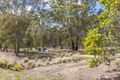 Property photo of 80 Blizzard Circuit Forde ACT 2914