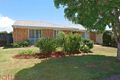 Property photo of 59 Hibiscus Circuit Fitzgibbon QLD 4018