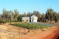 Property photo of 1 Foley Street Charleville QLD 4470