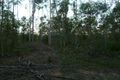 Property photo of 841 Bauple Woolooga Road Paterson QLD 4570