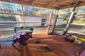 Property photo of 47 Woodwards Bay Road Bradys Lake TAS 7140