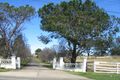 Property photo of 12 Burns Road Kellyville NSW 2155