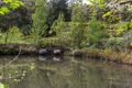 Property photo of 9 Worden Road Mount George SA 5155