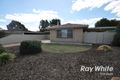 Property photo of 3 Sherborne Street Elizabeth Downs SA 5113