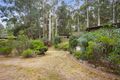 Property photo of 6 Callop Street East Warburton VIC 3799