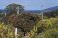 Property photo of 98 Scamander Avenue Scamander TAS 7215