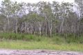 Property photo of 137 Euluma Creek Road Julatten QLD 4871