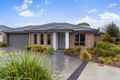 Property photo of 2 Sunflower Circuit Carrum Downs VIC 3201