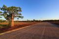 Property photo of 19 Kingfisher Loop Derby WA 6728