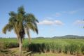 Property photo of 76-78 McLeod Street Condong NSW 2484