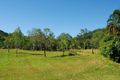 Property photo of 5 Palm Drive Cannonvale QLD 4802