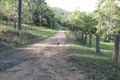 Property photo of 89 Hills Lane Yarramalong NSW 2259