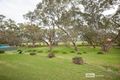 Property photo of 2 Field Avenue Naracoorte SA 5271