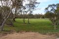 Property photo of 31A Hill Road Mallala SA 5502