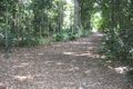 Property photo of 41 Green Forest Road Kuranda QLD 4881