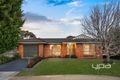 Property photo of 11 Peterhouse Court Sunbury VIC 3429