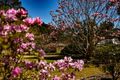 Property photo of 22 Bumballa Road Wingello NSW 2579