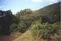 Property photo of 55 Smalls Road Highvale QLD 4520