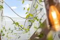 Property photo of 10/133 Deanmore Road Scarborough WA 6019