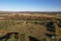 Property photo of 11527 Dawson Highway Mount Murchison QLD 4715