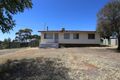 Property photo of 48 New Clayton Street Kambalda East WA 6442