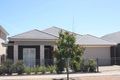 Property photo of 31 Faulding Avenue Munno Para SA 5115