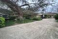 Property photo of 20 Doonoon Avenue Hazelwood Park SA 5066