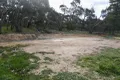 Property photo of 41 Pitman Street Chewton VIC 3451