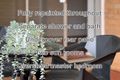 Property photo of 26A Flavelle Street Concord NSW 2137