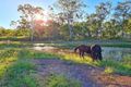 Property photo of 5 Coringa Hills Road Coringa QLD 4621