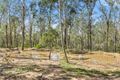 Property photo of 896 Murphys Creek Road Murphys Creek QLD 4352