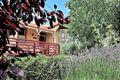 Property photo of 3 White Street West Launceston TAS 7250