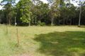 Property photo of 24 Allarado Place Tamaree QLD 4570