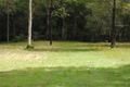 Property photo of 24 Allarado Place Tamaree QLD 4570