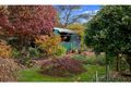 Property photo of 79 King Street Scottsdale TAS 7260