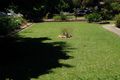 Property photo of 172 Standish Street Myrtleford VIC 3737