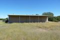 Property photo of 12321 Carnarvon Highway St George QLD 4487