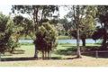 Property photo of 13 McLeod Street Condong NSW 2484