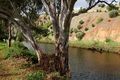 Property photo of 29 Paringa Parade Old Noarlunga SA 5168