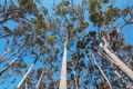 Property photo of LOT PL0217/217 Brockman Highway Karridale WA 6288