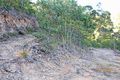 Property photo of 3 Garland Close Carrington QLD 4883