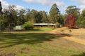 Property photo of 172 Plackett Drive Pemberton WA 6260