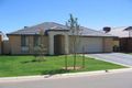 Property photo of 17 Parkview Street Burton SA 5110