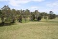 Property photo of 12 Mitchell Park Road Cattai NSW 2756