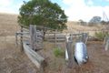 Property photo of 171 Cannon Creek Road Milford QLD 4310