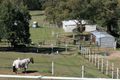 Property photo of 572 Grieve Road Rochedale QLD 4123