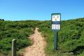Property photo of 9 Pine Avenue Surf Beach VIC 3922