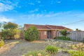 Property photo of 14 Cameron Drive Hoppers Crossing VIC 3029