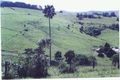 Property photo of 226 Jerrara Road Jerrara NSW 2533